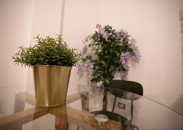 Airport Noa Modern 菲乌米奇诺